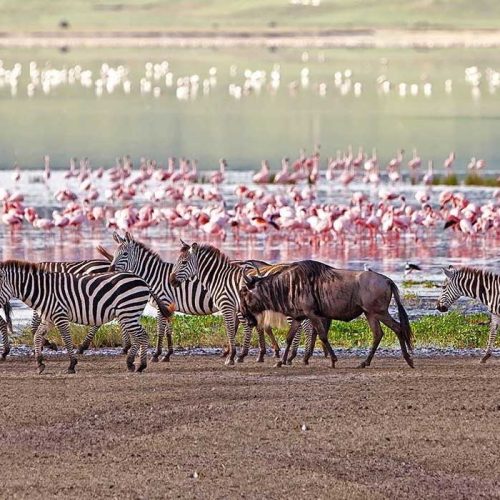 Lake-Manyara-national-park-