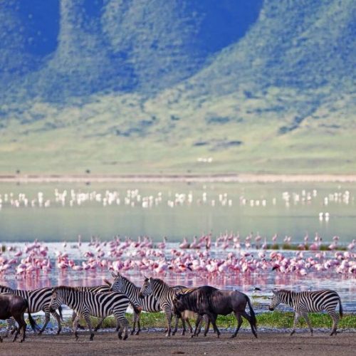 Ngorongoro-Lake-Landscape-870x555