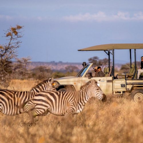 Selous-Game-Reserve