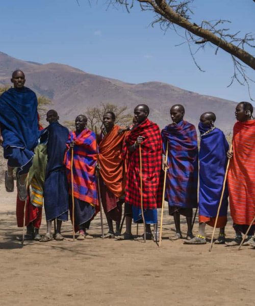 maasai tribe