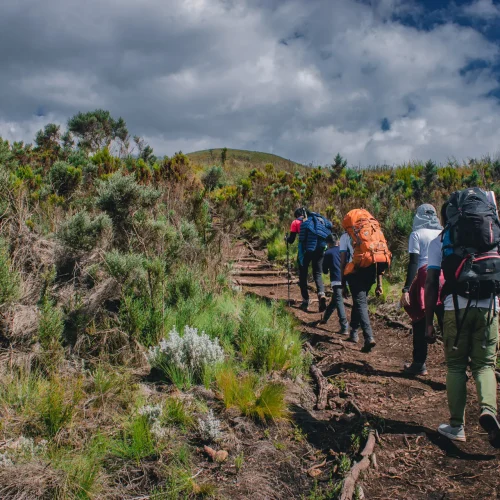 marangu route - prime kili