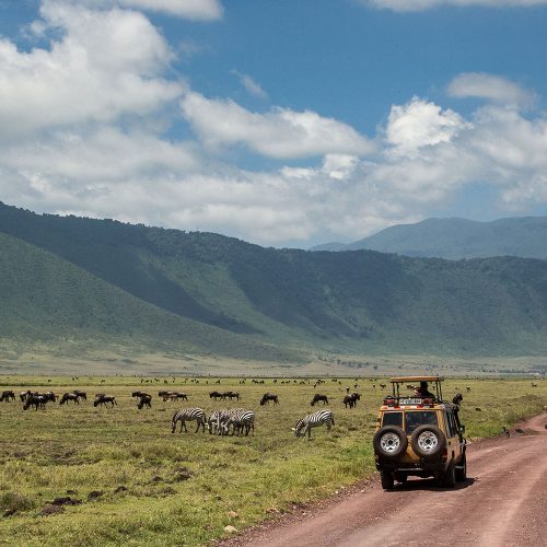 ngorongoro