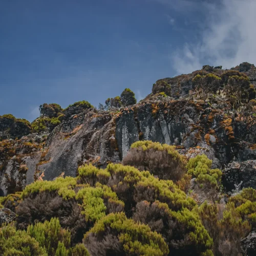 prime kili - machame