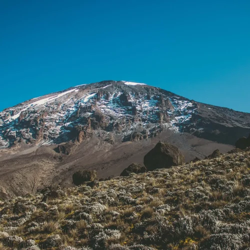 prime kilimanjaro. kilimanjaro-1