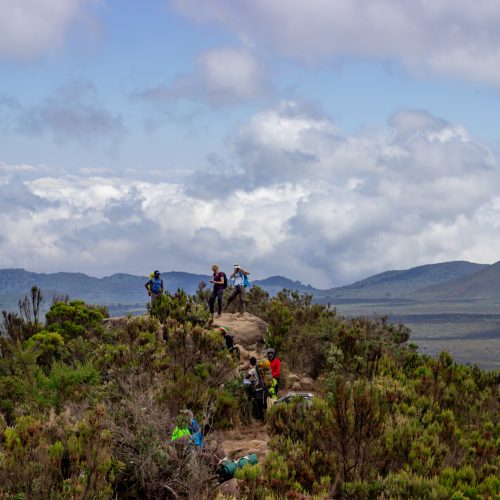 primekilimanjaro-312