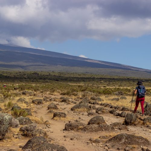 primekilimanjaro-321