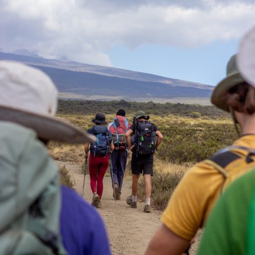 primekilimanjaro-322