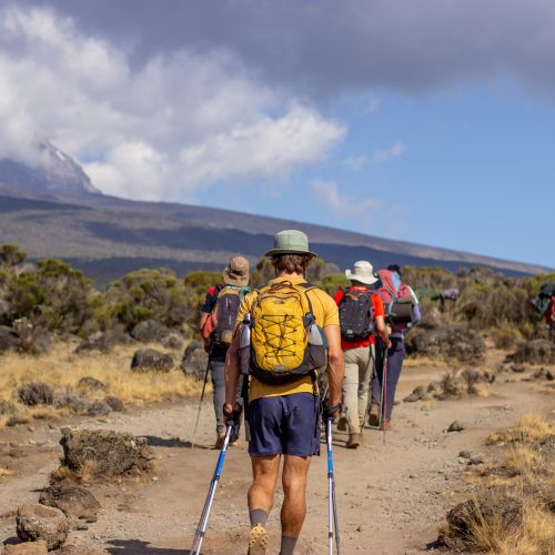 primekilimanjaro-333