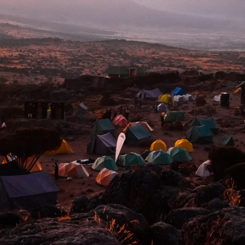 primekilimanjaro-346