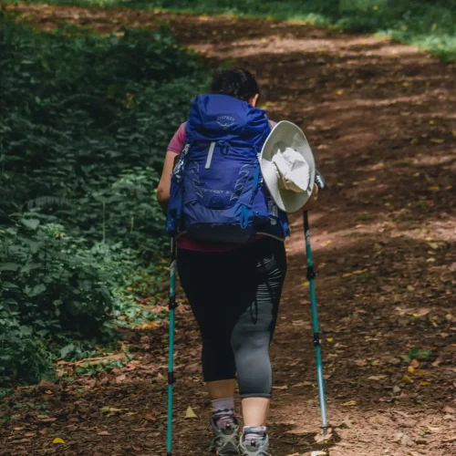 rain forest walk - prime kili