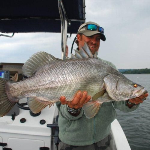 rubondo fish