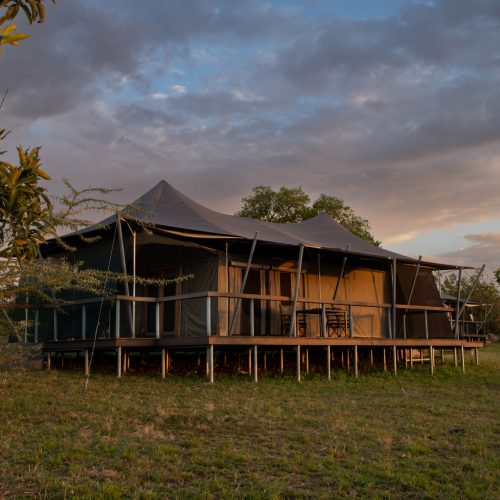 tented camps
