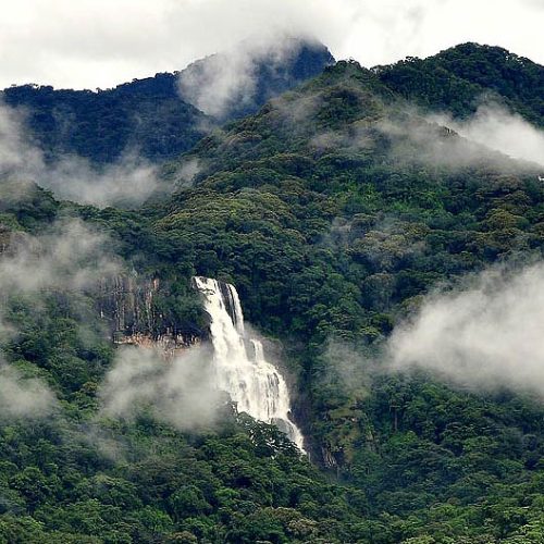 udzungwa-national-park