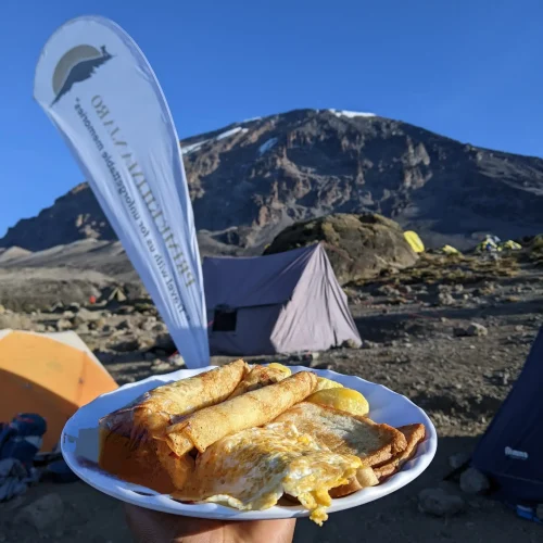 vegiterian - prime kili